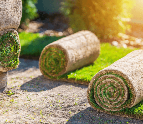 What to Look for in a Turf Supplier in Penrith