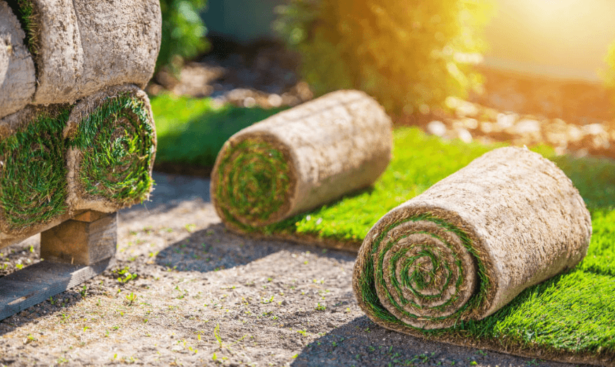 What to Look for in a Turf Supplier in Penrith