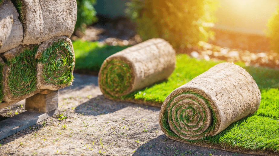 What to Look for in a Turf Supplier in Penrith